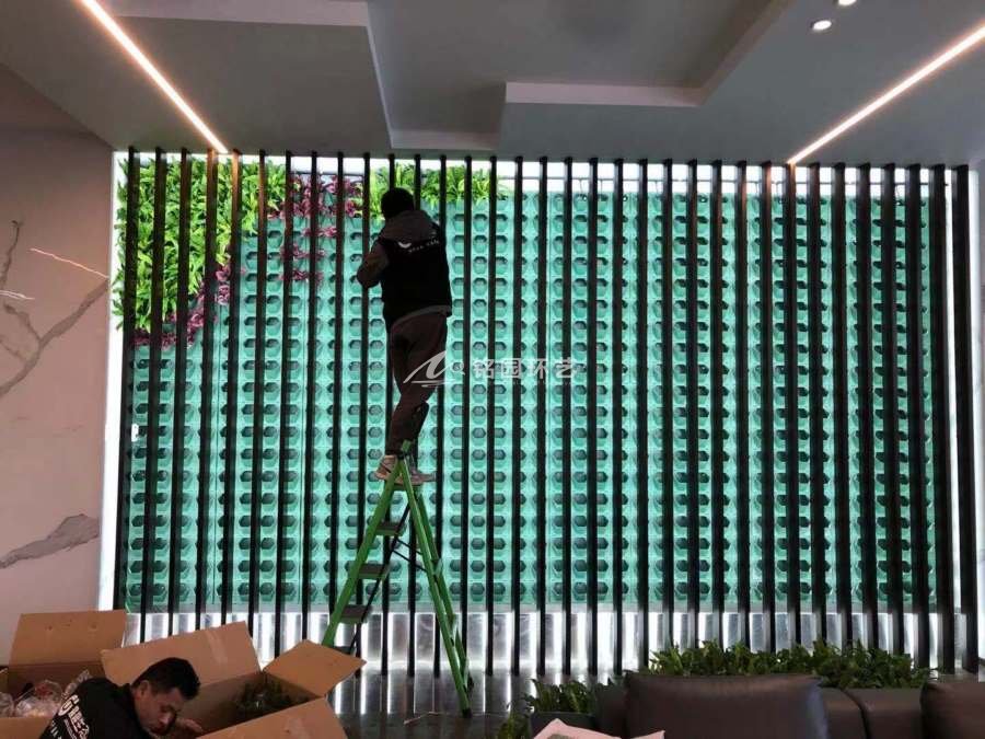 房地产售楼处垂直绿化植物墙景观