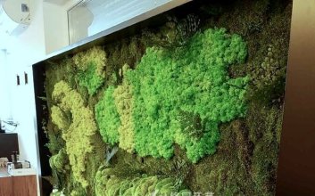 室内苔藓植物形象墙