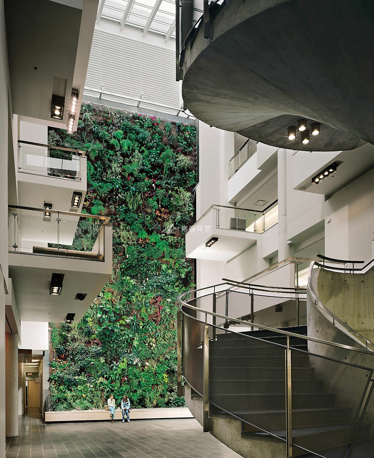 办公楼大面积植物墙景观