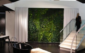 室内苔藓植物墙景观