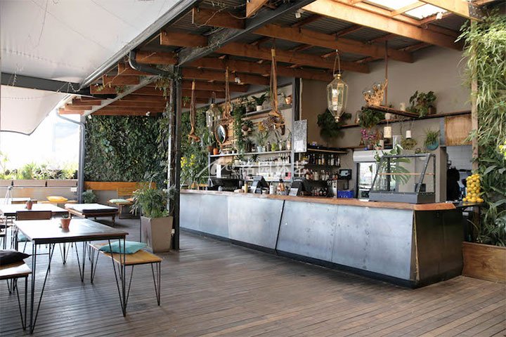 餐厅植物墙_小酒吧操作间垂直绿化景观