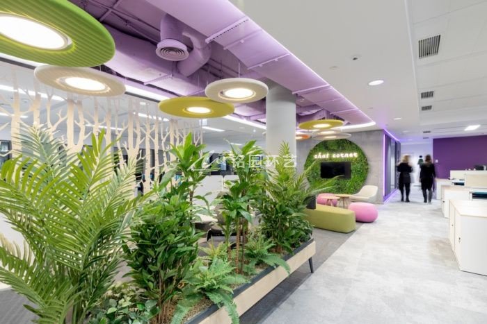 生态办公室植物墙_室内办公区垂直绿化景观