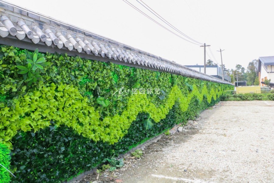 艺术节植物墙