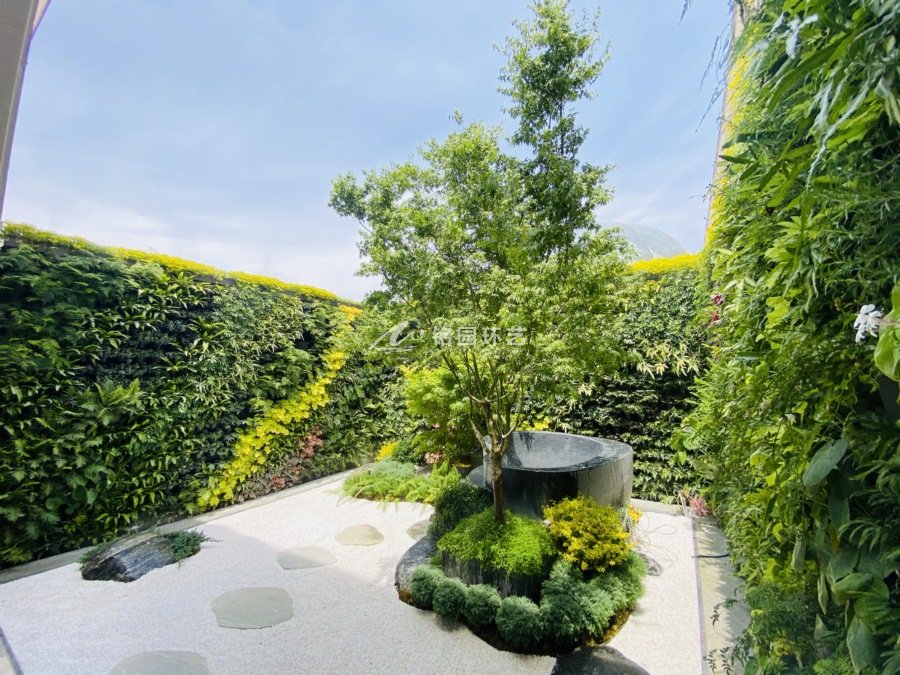 庭院垂直绿化_高端别墅院子院落植物墙景观