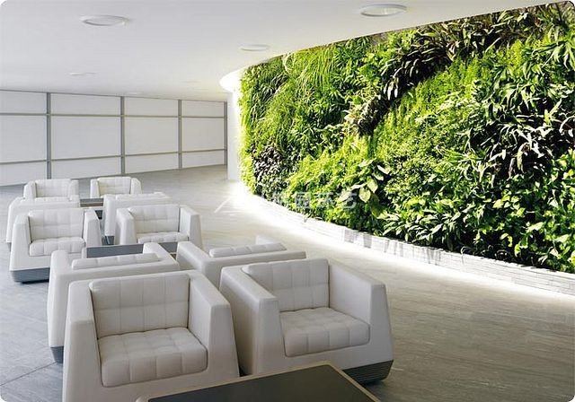 等候区植物墙_接待区墙体垂直绿化景观