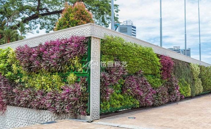围墙植物墙_户外围墙围挡绿化景观