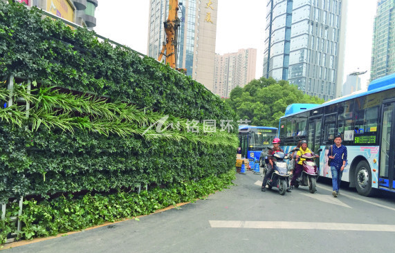 市政生态绿植围挡，美化市政环境，降低机动车噪音