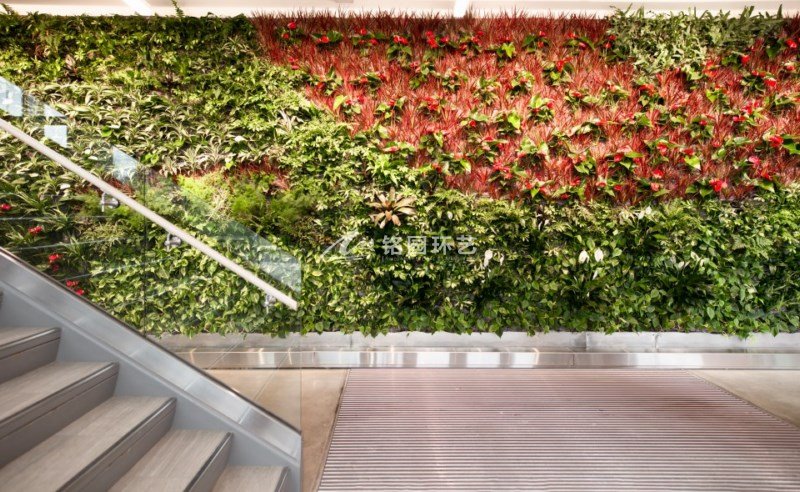 步梯过道植物墙，办公大楼室内垂直绿化景观