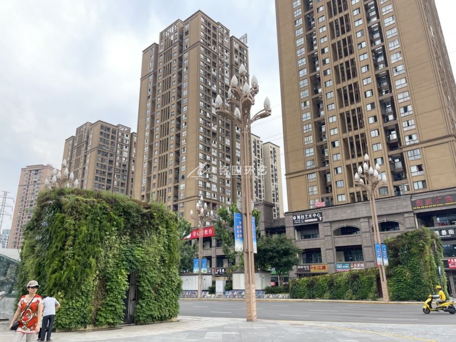 广场植物墙，重庆盘龙中央广场小型建筑垂直绿化景观
