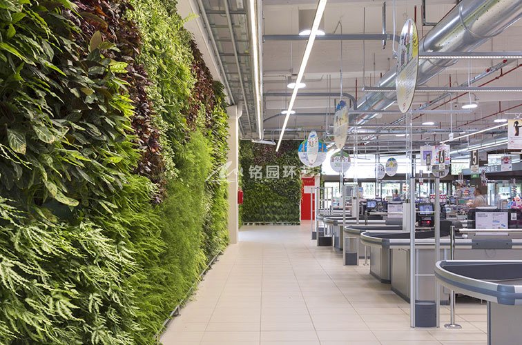 超市植物墙