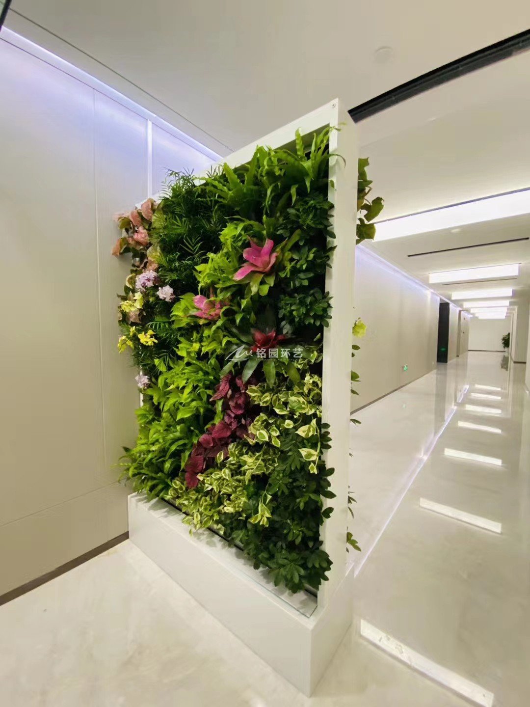 公司室内植物墙
