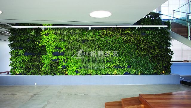一楼植物墙效果图，办公室一层垂直绿化景观