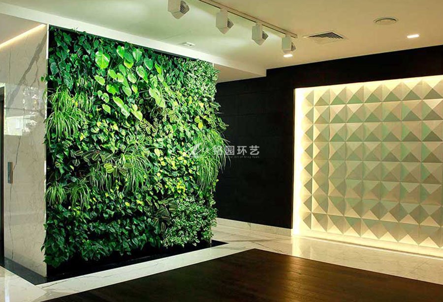 办公室艺术植物墙，现代风格装修绿植景观标配