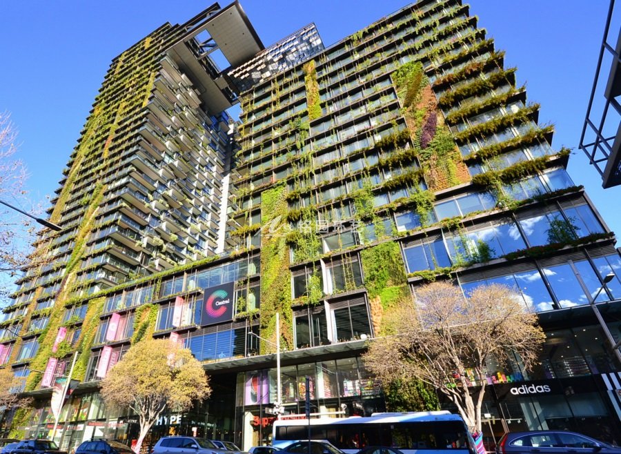 建筑物绿化高考，植物墙绝对是送分项！