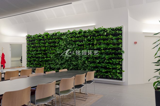 办公室植物墙案例