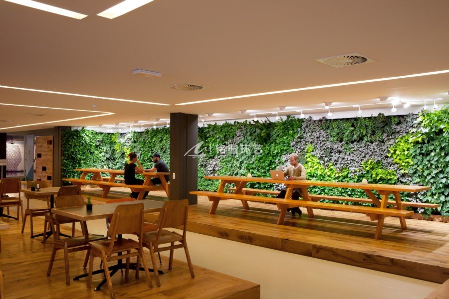 办公室植物墙，原木和绿植构建的天然办公空间