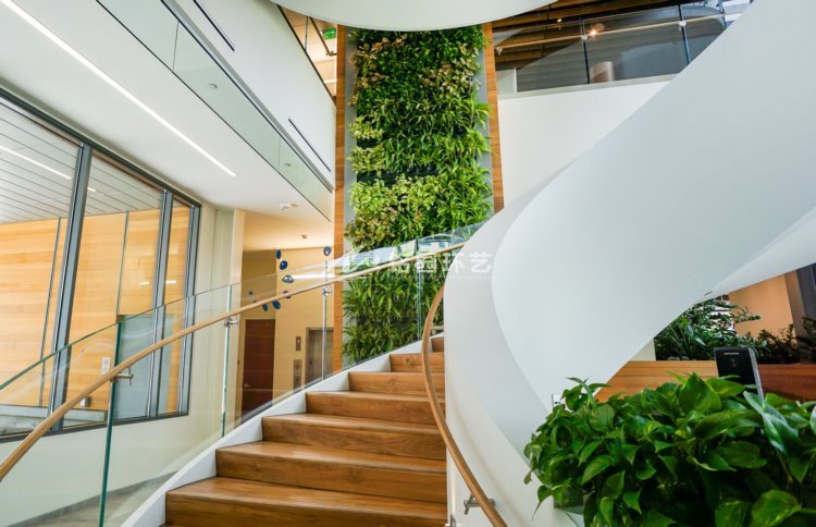 办公室植物墙，集团办公楼垂直绿化景观