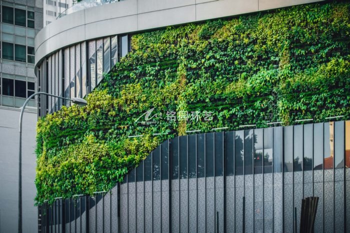 7月第3周植物墙图片，市政立体绿化效果惊艳