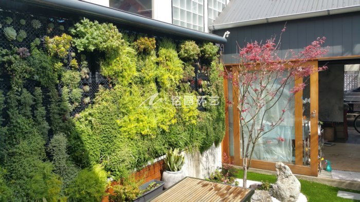 7月20日植物墙效果图，绝美绿植墙案例分享！