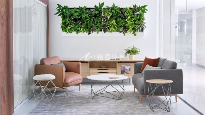 7月24日植物墙效果图，绝美绿植墙案例分享！