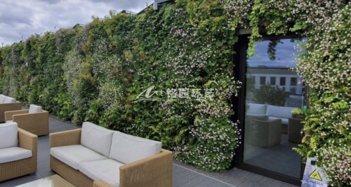 7月30日植物墙效果图案例，公共空间垂直绿化景观