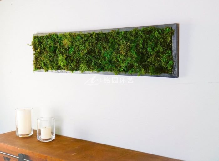 8月5日植物墙效果图案例，公装室内外垂直绿化造景
