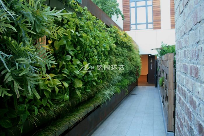 8月6日植物墙效果图案例，室内、市政垂直绿化景观