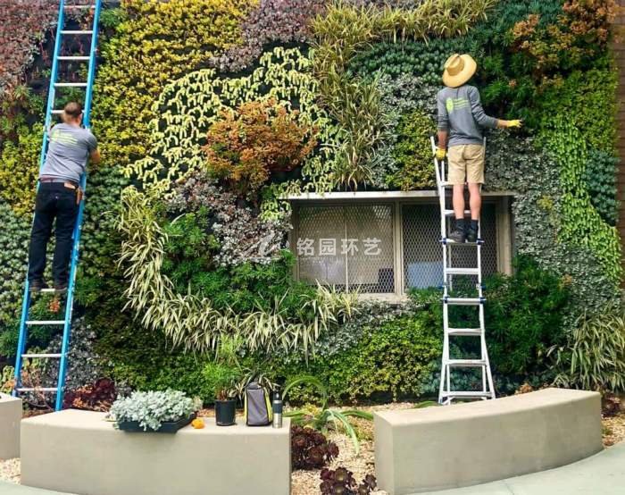 8月10日植物墙效果图案例，公共区域的垂直绿化景观