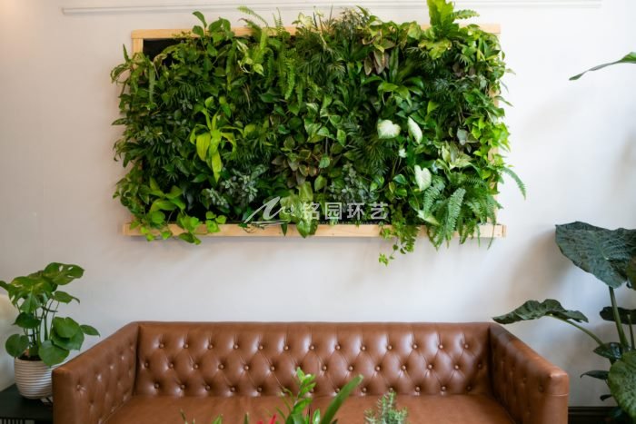 8月11日植物墙效果图案例，绿植设计是垂直绿化的灵魂