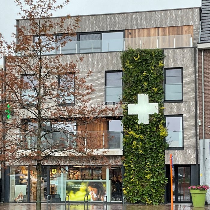 8月13日植物墙效果图案例，垂直绿化的多场景应用