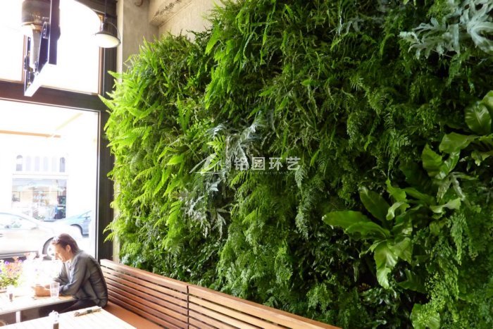 8月16日植物墙效果图案例，垂直绿化让生活多姿多彩