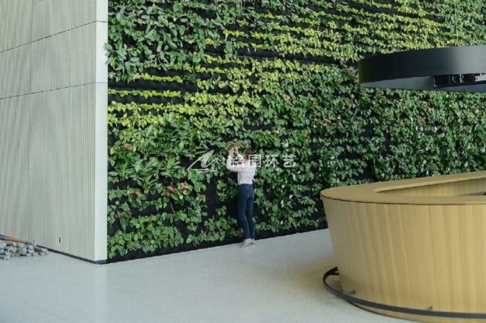 植物墙效果图案例